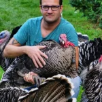 Female Narragansett Turkeys