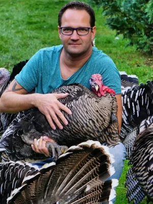 Female Narragansett Turkeys