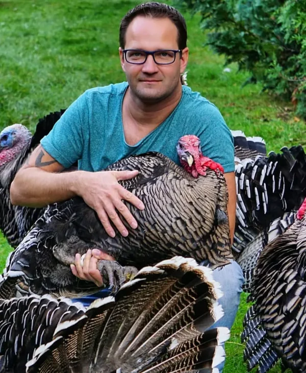 WhatsApp Image 2026-09-17 at 2.54.10 AM Female Narragansett Turkeys