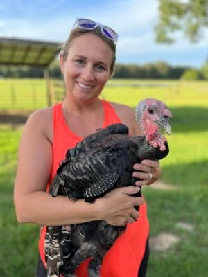 Female Standard Bronze Turkeys